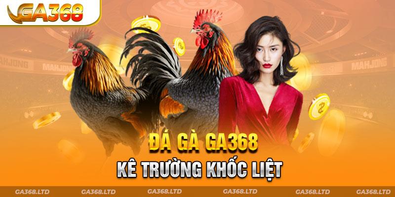 Đá gà - Kê trường khốc liệt