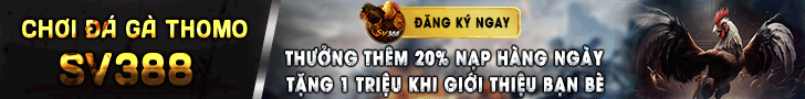 banner ads daga360
