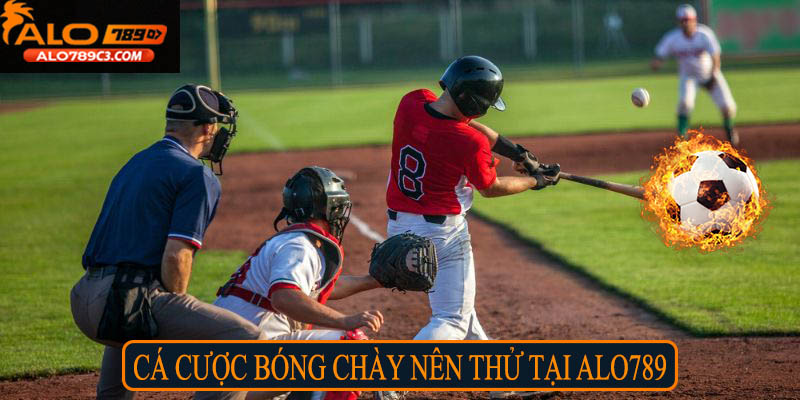 Cá cược bóng chày - nên thử tại alo789