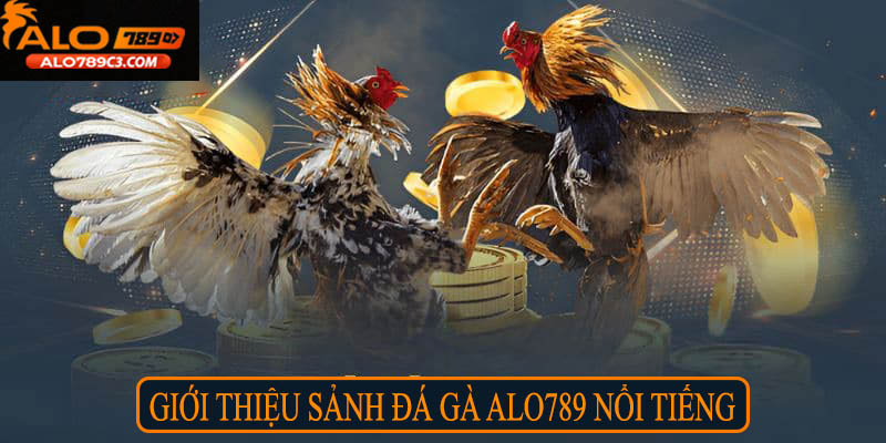 Giới thiệu sảnh đá gà Alo789 nổi tiếng