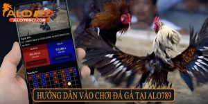 Hướng dẫn vào chơi đá gà tại Alo789