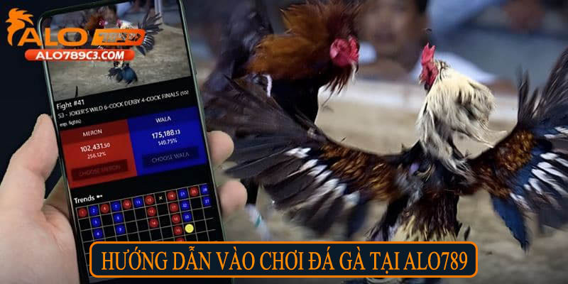 Hướng dẫn vào chơi đá gà tại Alo789